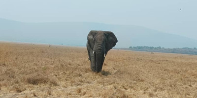 2 days akagera national park visit - Photo 4