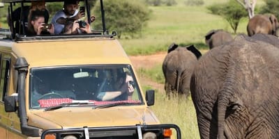 2 days budget camping safari tarangire and ngorongoro - Photo 1