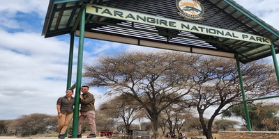 2 days national park ngorongoro crater & tarangire: - Photo 5
