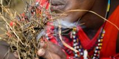 2 days olpopongi maasai village tour - Photo 8