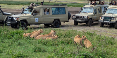 2 days tanzania sharing safari - Photo 6