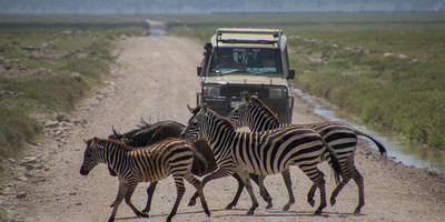 2 days tarangire national park and ngorongoro crater - mid range - Photo 10