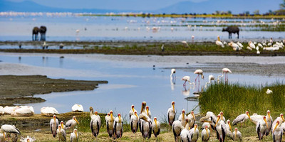 3 day 2 nights baobab experience safaris-tanzania - Photo 21