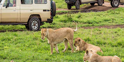 3 day 2 nights baobab experience safaris-tanzania - Photo 4