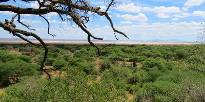 3 day 2 nights baobab experience safaris-tanzania - Photo 24