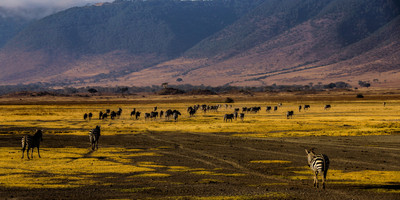 3 day 2 nights baobab experience safaris-tanzania - Photo 17