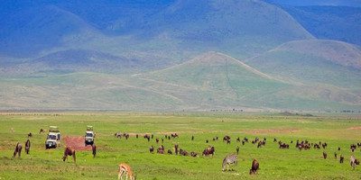 3 day 2 nights baobab experience safaris-tanzania - Photo 16