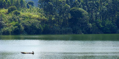 3 day chimpanzee trails & bigodi tales kibale np - Photo 7
