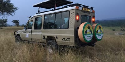 3 day queen elizabeth national park wildlife safari uganda - Photo 3