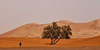 3-day sahara desert student group tour from marrakech – merzouga - Photo 5