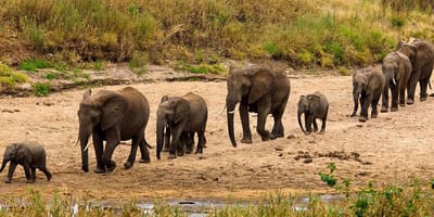 3-day tarangire, ngorongoro & manyara best tour & safari - Photo 1