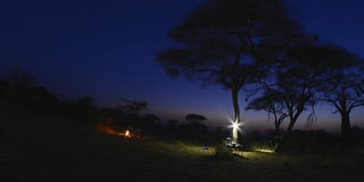 3 days, 2 nights amboseli national park safari from nairobi: - Photo 4