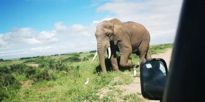 3 days 2 nights masai mara group safari - Photo 3