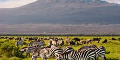 3 days amboseli fly-in package - Photo 1