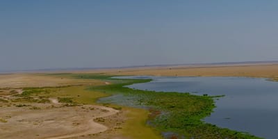 3 days amboseli safari - Photo 4