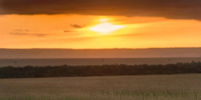 3 days budget breathtaking safari in maasai mara - Photo 1