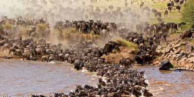 3 days budget breathtaking safari in maasai mara - Photo 6