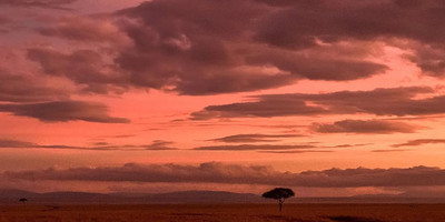 3 days budget breathtaking safari in maasai mara - Photo 5