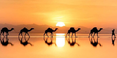 3 days danakil depression and erta ale volcano tour - Photo 15