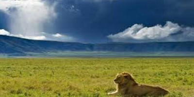 3-days exploration in tanzania iconic national parks - Photo 4
