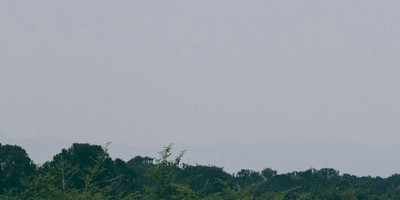 Four days uganda safari tour bwindi impenetrable and lake bunyonyi - Photo 5