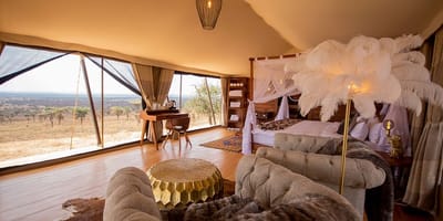 3 days high-end tanzania safari - Photo 3