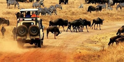 3 days maasai mara camping safari - Photo 2
