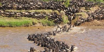 3 days masai mara - Photo 3