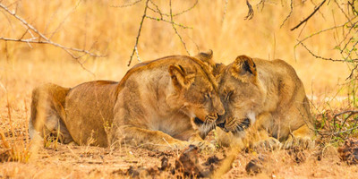 Murchison falls national park tour - Photo 12