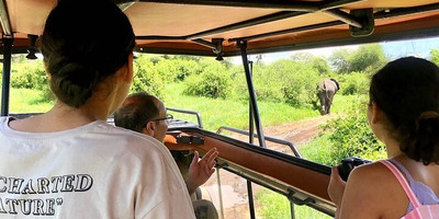 3 days private tour tarangire lake manyara national park & ngorongoro crater - Photo 1