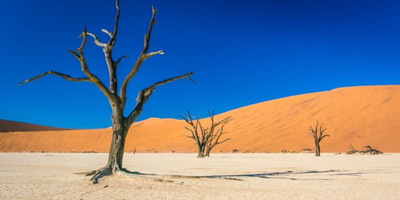 3 days sossusvlei, namib desert (tall dunes) tour - Photo 3