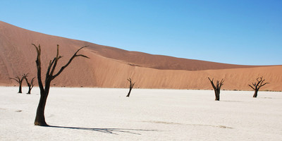 3 days sossusvlei, namib desert (tall dunes) tour - Photo 6