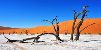 3 days sossusvlei, namib desert (tall dunes) tour - Photo 5