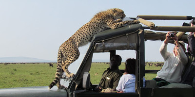 3 days tarangire national park, ngorongoro crater & lake manyara - Photo 9