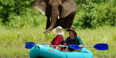 3nights /4days - zambezi island canoe trail - Photo 6