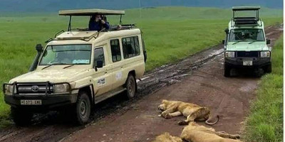 4-day amboseli, tsavo west & tsavo east safari adventure - Photo 12