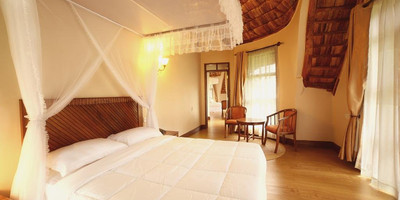 Introducing tanzania safari - Photo 2