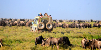 Introducing tanzania safari - Photo 6