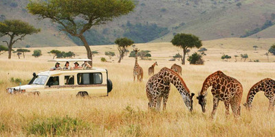 4-day masai mara-lake nakuru exploration - Photo 22