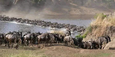 4-day masai mara-lake nakuru exploration - Photo 14