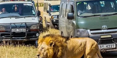4-day masai mara-lake nakuru exploration - Photo 15
