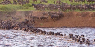 4 day masai mara safari - Photo 8