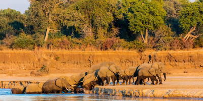 4 day south luangwa national park budget safari - Photo 4