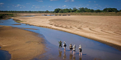 4 day south luangwa national park budget safari - Photo 3