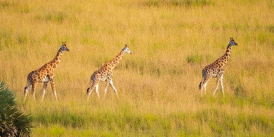 4-day wild escape: samburu national park & aberdares adventure - Photo 12