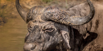 4-day wild escape: samburu national park & aberdares adventure - Photo 10
