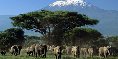 4 Days 3 Nights Amboseli Tsavo East And Tsavo West - Photo 1