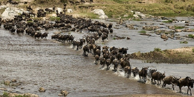 4 days 3 nights lake nakuru and masai mara - Photo 1