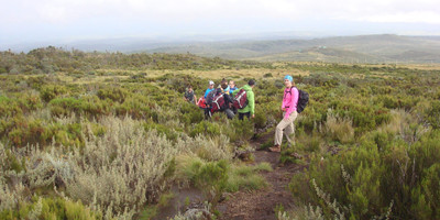 4 days 3 nights mt kenya trekking: sirimon – chogoria routes. - Photo 7