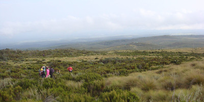 4 days 3 nights mt kenya trekking: sirimon – chogoria routes. - Photo 8